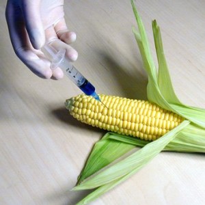 gmos