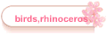 birds,rhinoceros