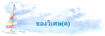 ของวิเศษ(ด)