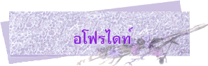 อโฟรไดท์