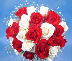 White and Red Rose Together_2.jpg