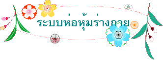 ระบบห่อหุ้มร่างกาย