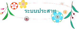 ระบบประสาท