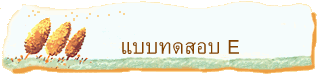 แบบทดสอบ E