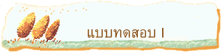 แบบทดสอบ I