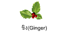 ขิง(Ginger)