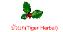 บัวบก(Tiger Herbal)