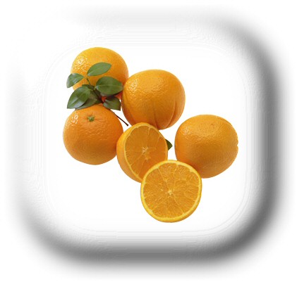 orange_03_1.jpg
