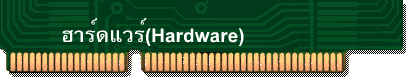 ฮาร์ดแวร์(Hardware)