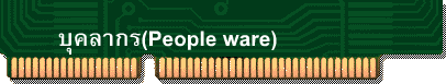 บุคลากร(People ware)